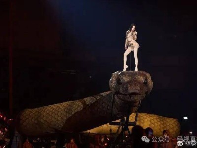 蔡依林演唱会被举报引热议 工作室严正声明维权捍卫名誉