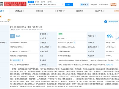 呼伦贝尔能源投资开发集团增资至208亿 增幅约20701%