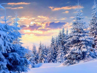 “三九”不冷反暖？今冬气温反常，南北差异与昼夜温差藏玄机