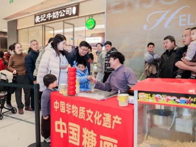 比亚迪秦、宋长续航版济南焕新登场，以科技与诚意重塑家庭智电出行新体验