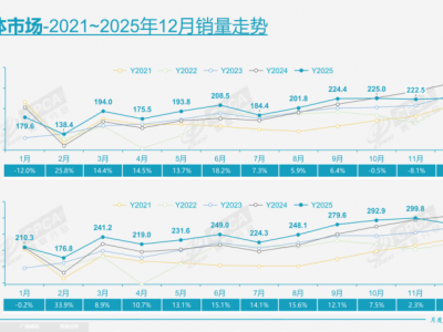 上汽大众“油电同进同智”破局：以体系力驱动行业价值竞争新航向