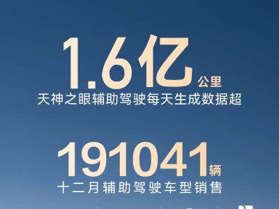 比亚迪辅助驾驶车型成绩亮眼：保有量超256万 12月销售近19.1万