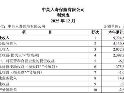 中英人寿2025年营收降利润升，60岁董事长孙彦敏身兼多职引关注