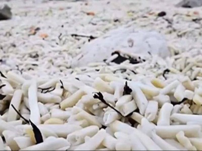 英国东萨塞克斯郡海滩奇景：风暴过后数千袋薯条“登陆” 堆积近一米