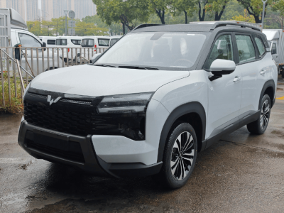 五菱星光560：2810mm轴距打造大空间，性价比路线能否再掀热潮？