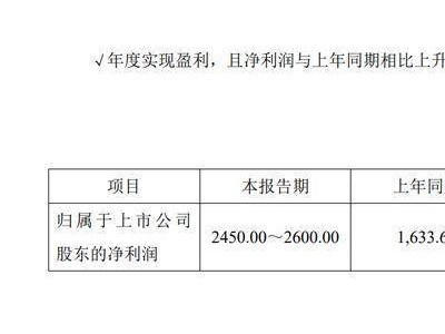 龙竹科技2025年业绩预喜：净利增近六成，董事长代职显成效