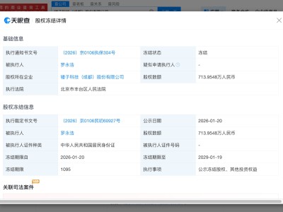 罗永浩所持锤子科技713万股权被冻结