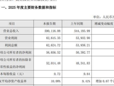 萤石网络2025年业绩稳健增长 董事长蒋海青五年薪酬累计破千万