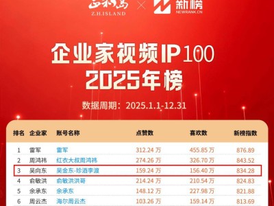 2025企业家视频IP榜揭晓:吴向东成黑马 雷军周鸿祎等引领视频号新风潮