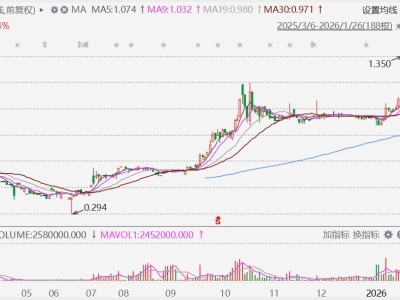 港股异动丨金银价不断新高，“矿山”概念股比优集团飙升近24%创新高