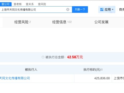 RNG关联公司被执行42.5万