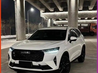 长城逆势推纯燃油中型SUV：2.0T+9DCT，精准狙击燃油车市场空白