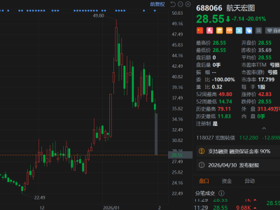 A股异动丨航天宏图20cm跌停 业绩预亏或被实施退市风险警示