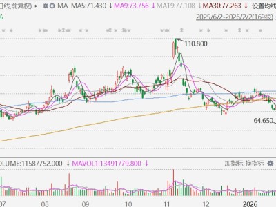 港股异动丨小鹏汽车大跌近10%,1月交付同比下降34.07%