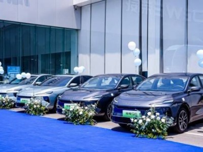 雷神24小时自动下单平台，如何提升你的电商效率？