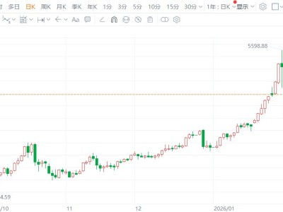 现货黄金突破5010美元