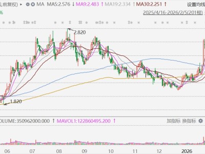 港股异动丨先旧后新折价配股筹资！新城发展放量大跌超14%