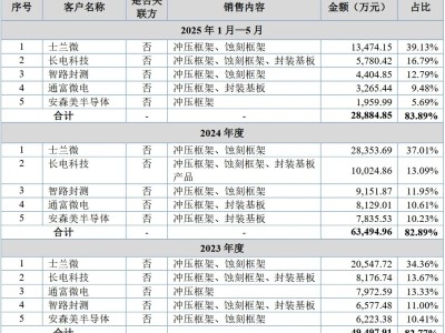 江苏永志半导体启动IPO辅导备案，技术领先估值35亿或成行业新星