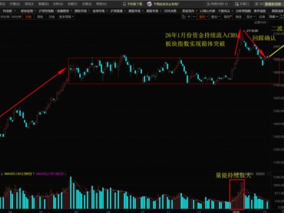 dy24小时自动下单平台，如何轻松实现高效购物体验？