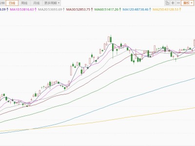 日股高开1.54%，创历史新高
