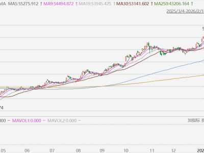 日股收盘再创历史新高，年内累涨14.52%