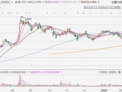 抖音业务自助网：子马线报帮手，如何高效运营？揭秘！