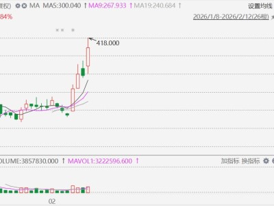 国芯神奇七姐妹护航大国模上线！智谱飙升超30%，股价突破400港元，市值突破1800亿