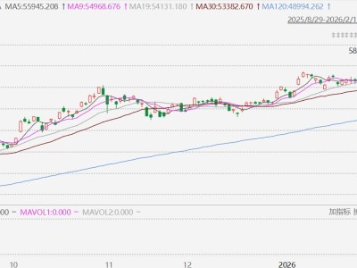 日股收跌0.02%，盘中一度创历史新高