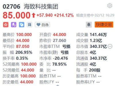 暗盘异动丨海致科技暗盘飙升269%