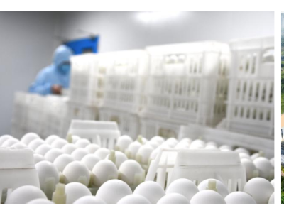 成大生物（本溪）有限公司高剂量流感疫苗获批开展临床试验