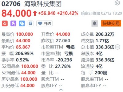 新股暗盘｜海致科技集团暗盘收涨210.42% 一手赚11388港元