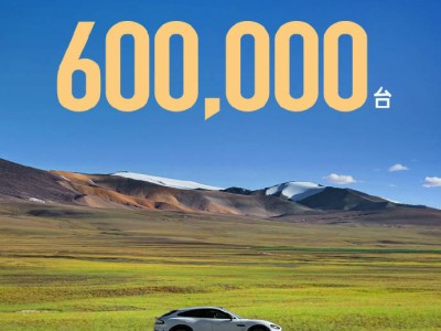 抖音评论吸粉神器：揭秘最佳粉丝平台软件？