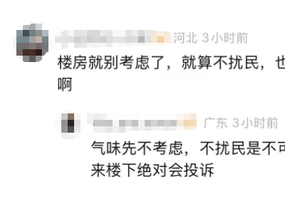迷你矮马成网红萌宠？马主揭秘：饲养门槛高 隐性成本惊人
