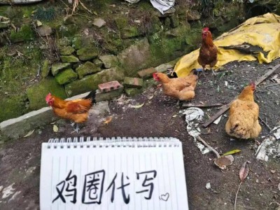 卡密在线自动发卡平台，揭秘高效便捷的虚拟卡管理新选择？