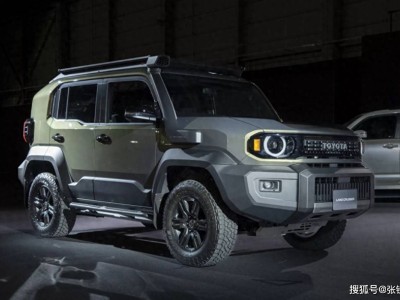 粉丝业务平台:如何打造高效吸粉策略?