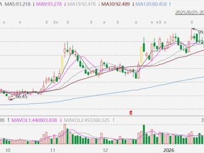 A股异动丨遭遇利空？中国中免跌停