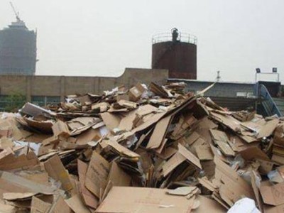 废纸堆里掘金梦：张茵从香港到美国，用坚韧书写商业传奇