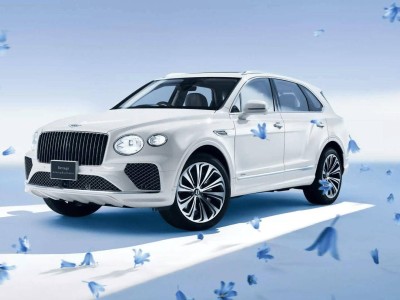 如何轻松免费获取一万播放量？