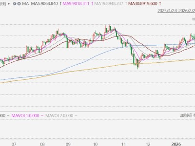 澳股收盘再创历史新高