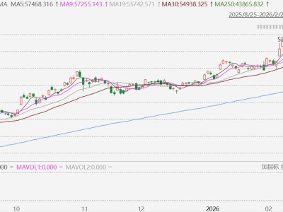 日股收盘再创历史新高，年内累涨16.38%
