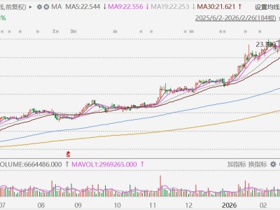 港股异动丨希慎兴业绩后收跌近7%,2025年营业额仅增1.6%