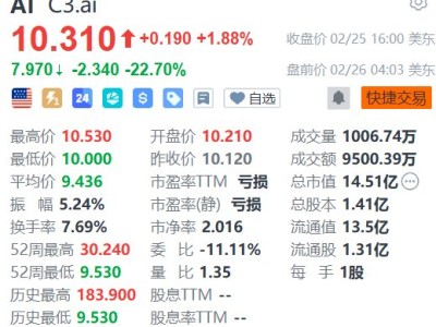 美股异动 | C3.ai盘前暴跌22% Q3业绩及Q4指引均远逊预期