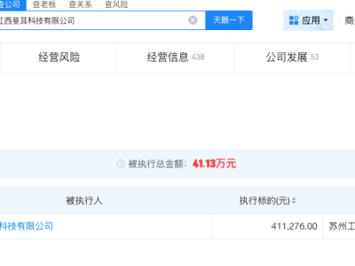 汪峰持股公司被执行41万