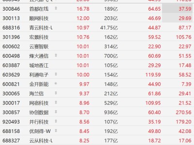 A股算力概念股连续第二日大涨，云天励飞、云赛智联等多股涨停