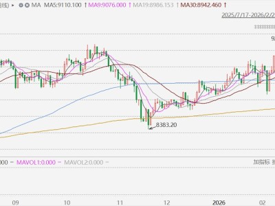 澳股收盘再创历史新高,年内累涨5.56%