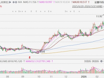 中国石油涨停，市值突破2万亿大关，超另“两桶油”之和