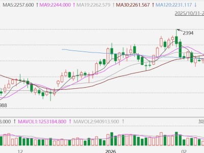 甲醇主力合约涨停