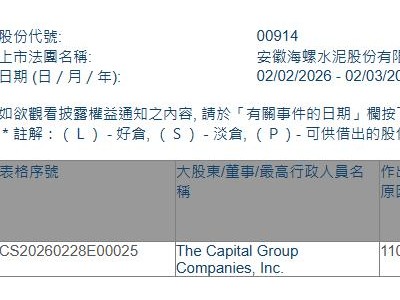 海螺水泥(00914.HK)获The Capital Group增持1404.2万股