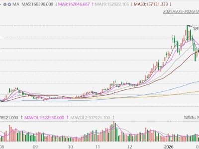 A股异动丨锂矿股集体下挫，赣锋锂业、盐湖股份跌超4%