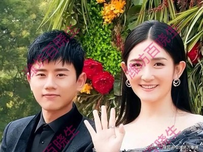 谢娜为家人发声引热议 喊话薛之谦处理纠葛并考虑向张杰致歉